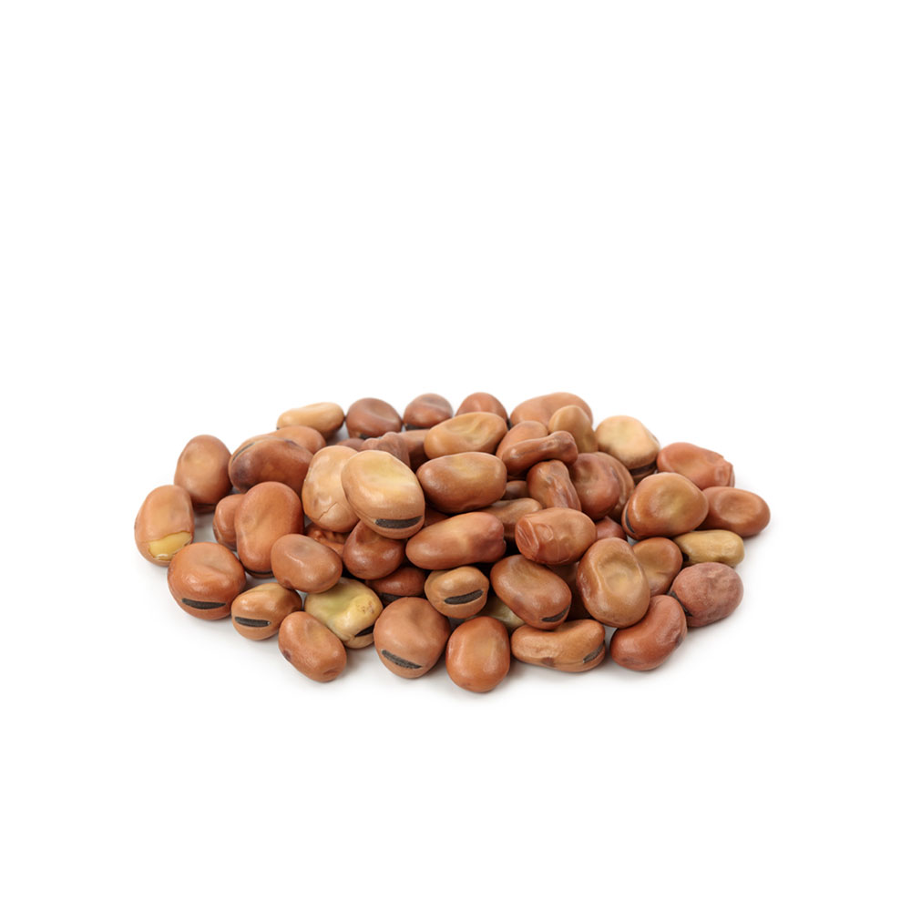 high quality of Grain Beans